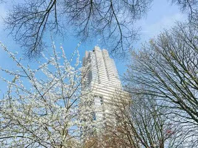Appartement te koop in Centrum, Rotterdam
