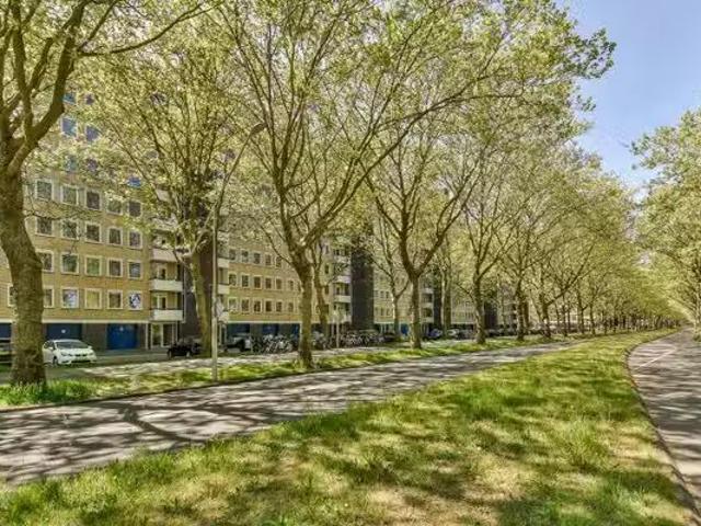 Appartement te koop in Zuid, Amsterdam