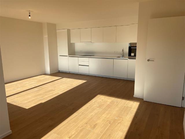 Appartement location à Audenarde, Oost-Vlaanderen