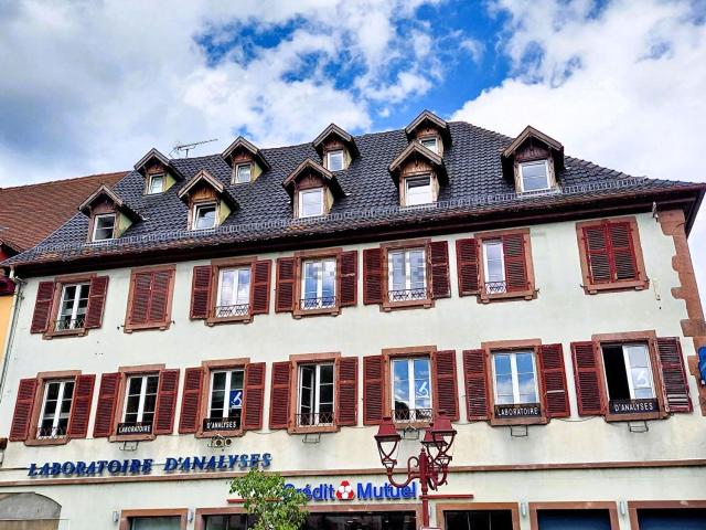 Appartement location à Thann, Collectivité européenne d'Alsace