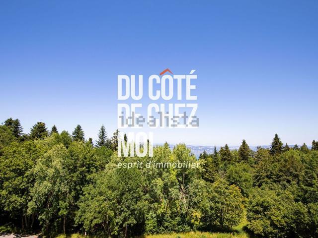 Appartement vente à Les Effalés, Thollon-les-Mémises