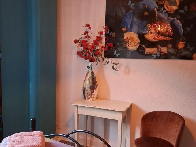 Appartement location à Aurillac, Cassaniouze