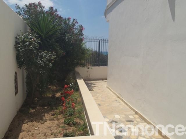 Appartement vente