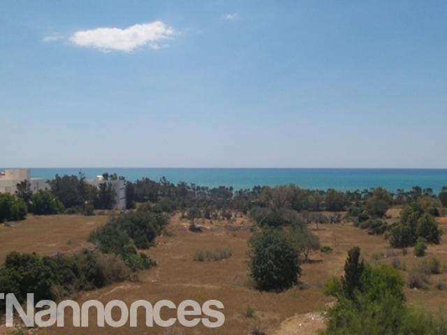 Appartement vente