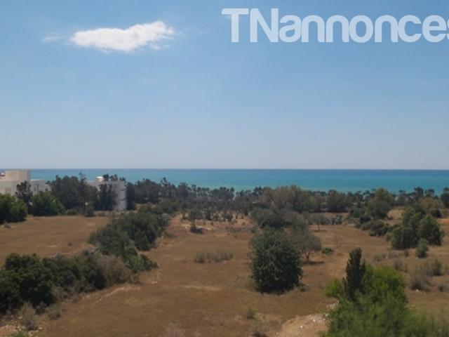 Appartement vente