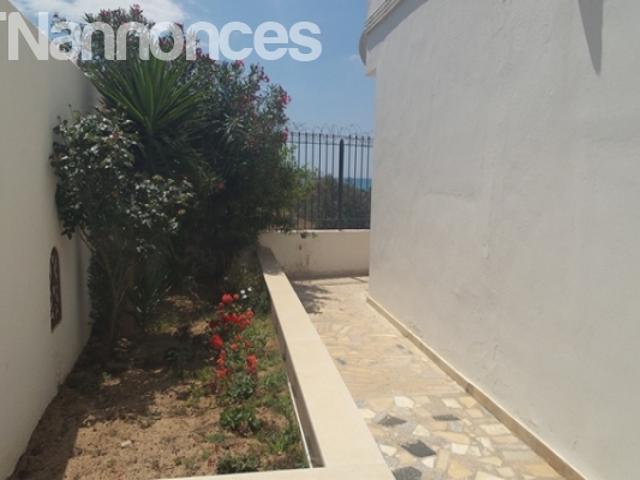 Appartement vente