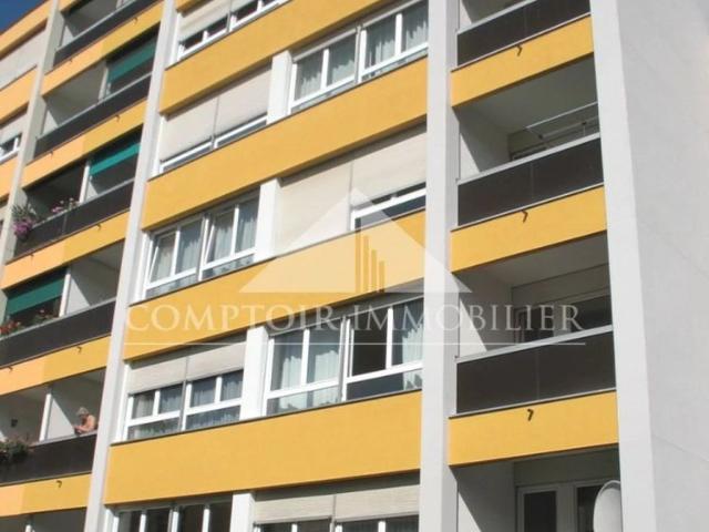 Apartment mieten in Mategnin, Meyrin