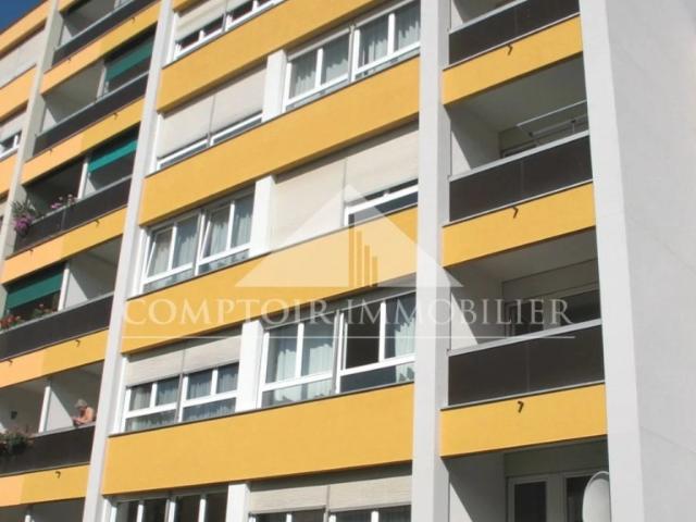 Apartment mieten in Meyrin