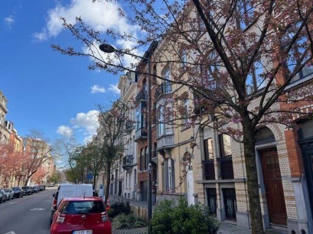 Kot location à Schaarbeek, Bruxelles