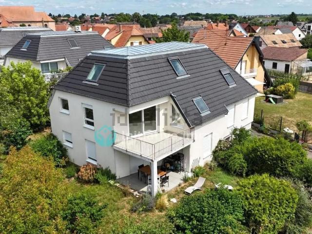 Appartement vente à Truchtersheim