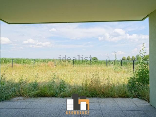 Appartement vente à Truchtersheim