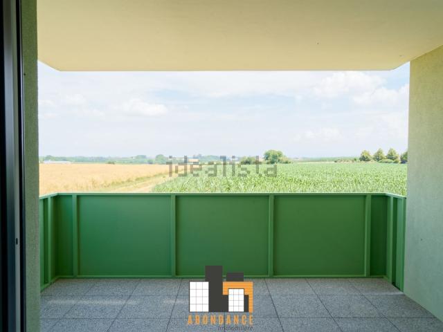 Appartement vente à Truchtersheim
