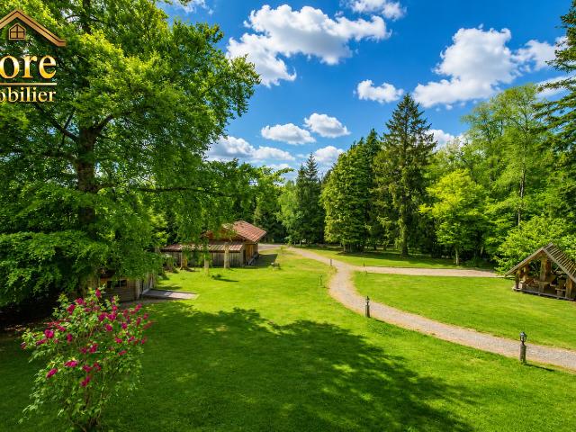 Appartement vente à Saint-Dié-des-Vosges, Gerbépal
