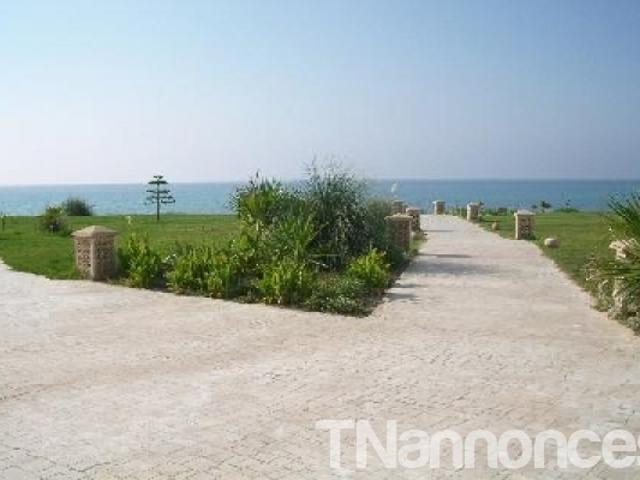 Appartement vente