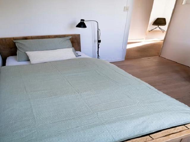 Appartement te huur in Brouwerijweg en omgeving, Arnhem