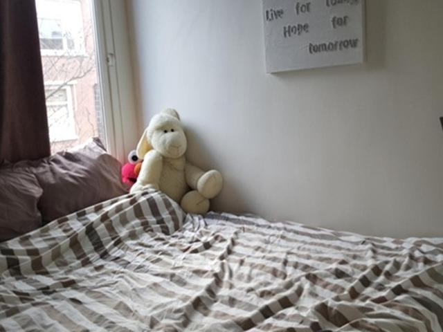 Appartement te huur in Bezuidenhout, Den Haag