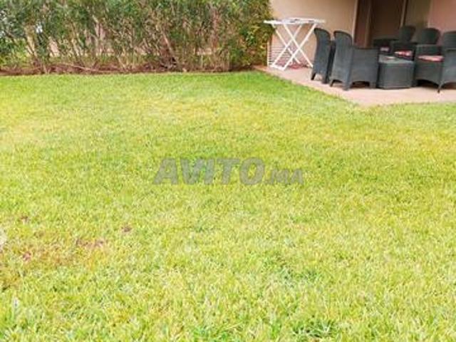 Appartement location