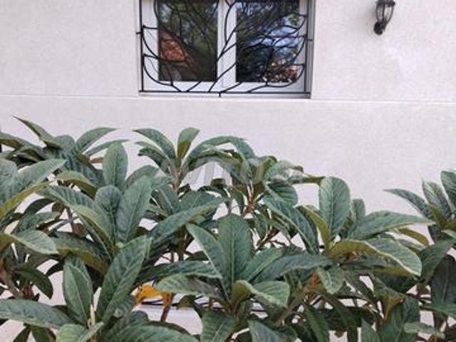 Appartement location à Ifrane