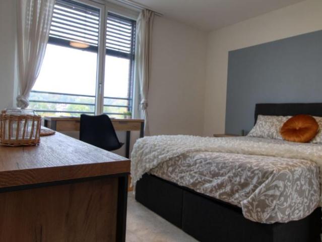 Apartment mieten in Crissier, Waadt