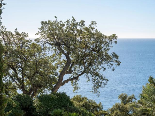 Appartement vente à Arrondissement de Toulon, Toulon