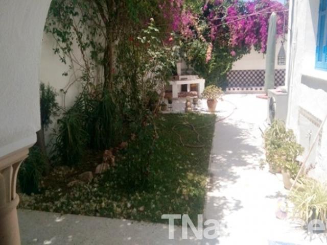 Appartement vente