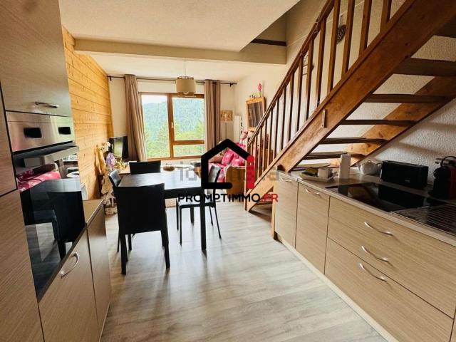 Appartement vente à Xonrupt-Longemer, Vosges