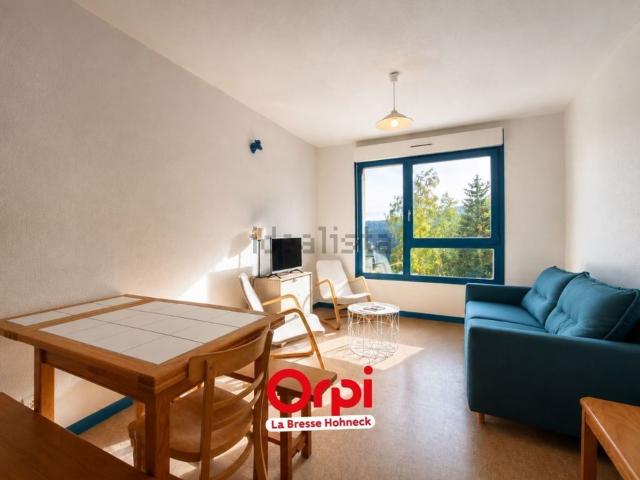 Appartement vente à Xonrupt-Longemer, Vosges