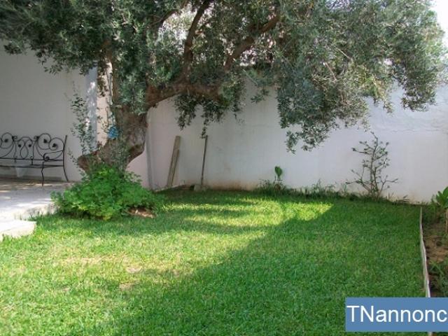 Appartement location