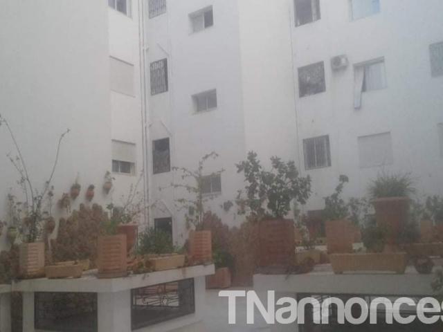 Appartement location