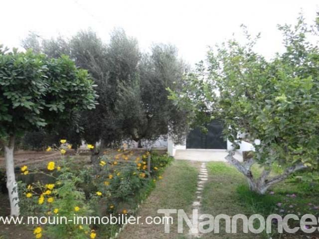 Appartement location