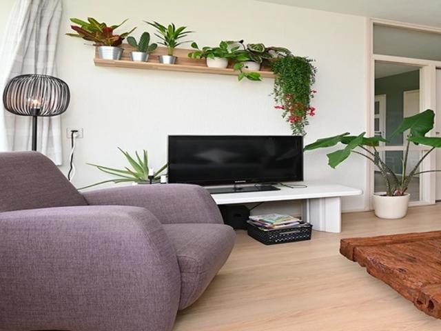 Appartement te huur in Assen