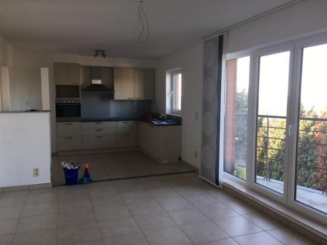 Appartement location à Hologne, Wallonie