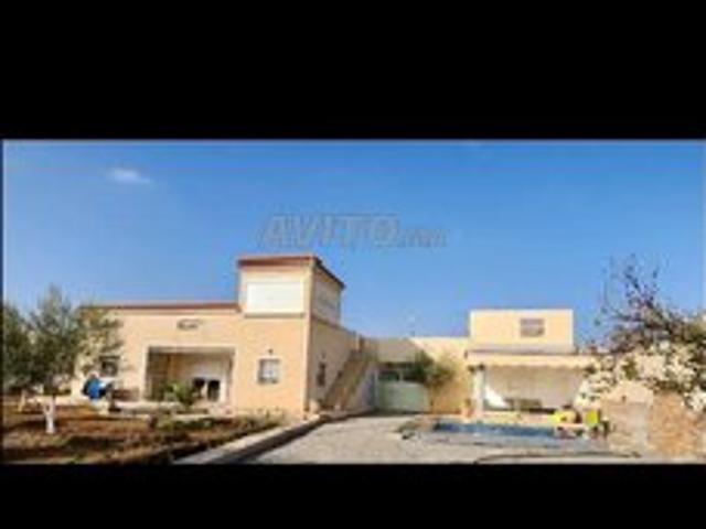 Propriété location à Nador