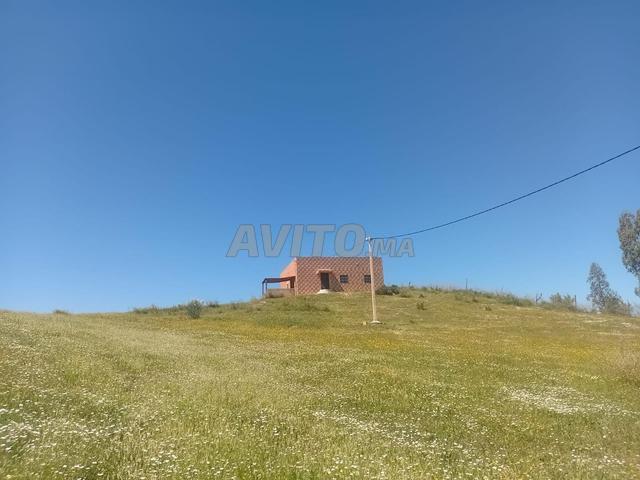 Maison vente à Khénifra