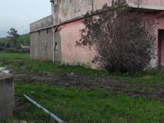 Maison vente à Jorf El Melha