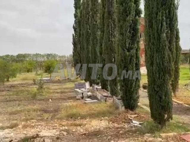 Propriété vente à Oulad Said, Gharb-Chrarda-Beni Hssen