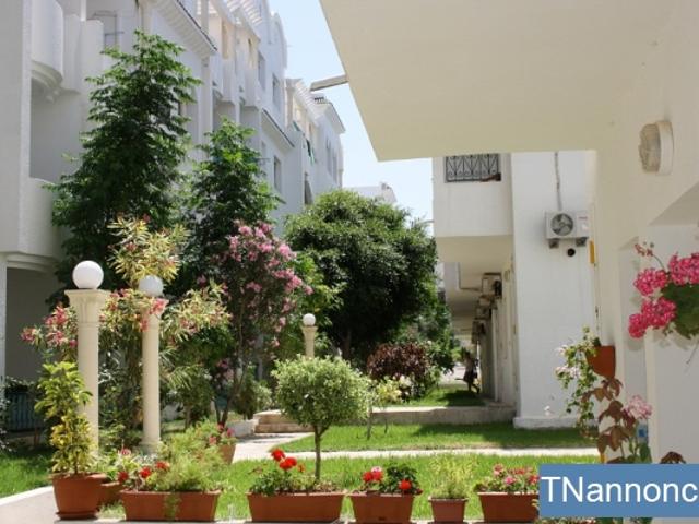 Appartement vente