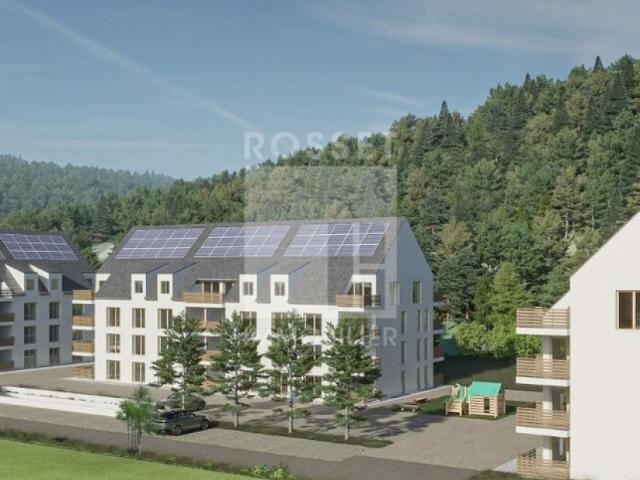 Apartment mieten in Combremont-Petit, Waadt