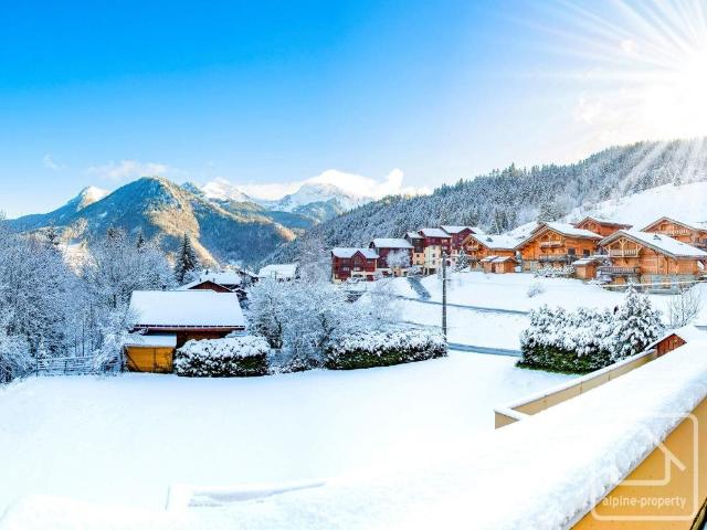 Appartement vente à Thonon-les-Bains, Saint-jean-d'aulps