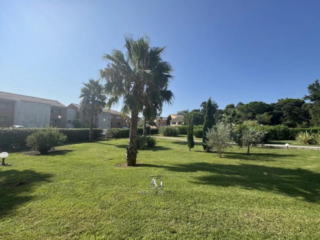 Appartement vente à Corte, Linguizzetta
