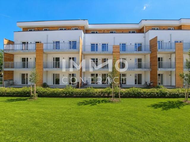 Wohnung kaufen in Hartberg, Steiermark