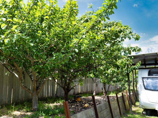 Property for sale in Adventure Bay, Tasmania