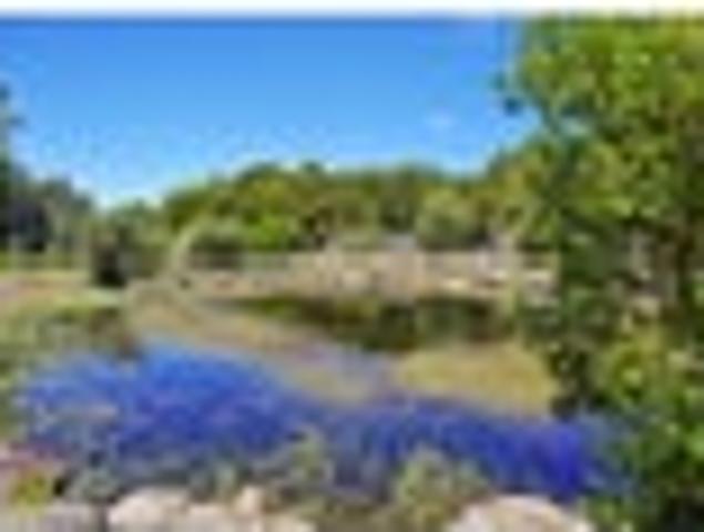 Land for sale in Karetu, Northland