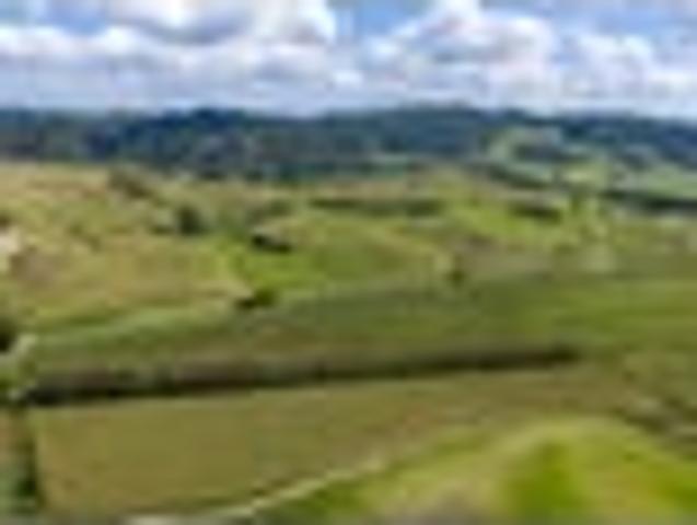 Land for sale in Karetu, Northland