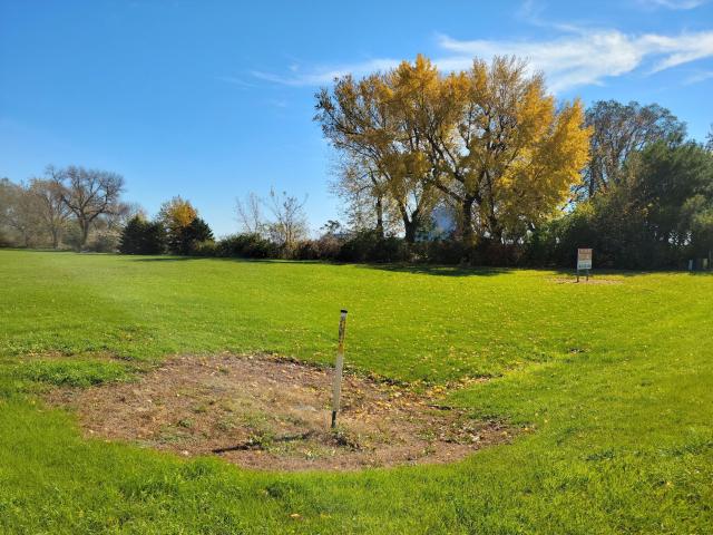 Land for sale in Springfield, Minnesota