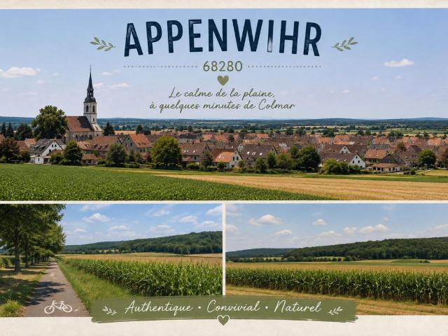Appartement vente à Les Charmilles, Appenwihr