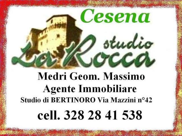 Terreno in vendita a Unione di Comuni della Romagna Forlivese, Bertinoro