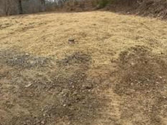 Land for sale in West Virginia