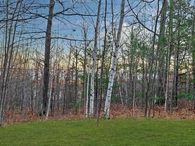 Land for sale in Bayfield, Wisconsin