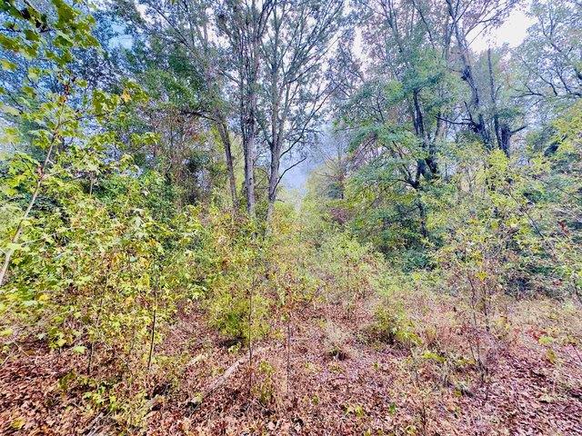Land for sale in Gilchrist, Texas